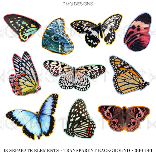Sheet of 10 colorful butterfly PNGs with transparent backgrounds