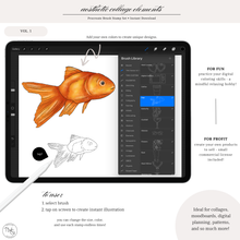 Load image into Gallery viewer, Aesthetic Collage Elements Vol. 1 - Procreate Stamp Brushes